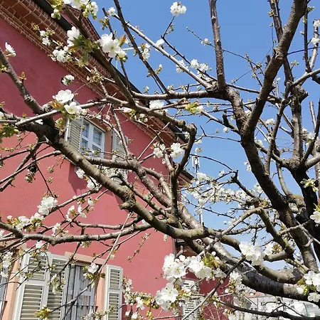 Casa Giardino Aromatico Tra Langhe And Monferrato 펜션